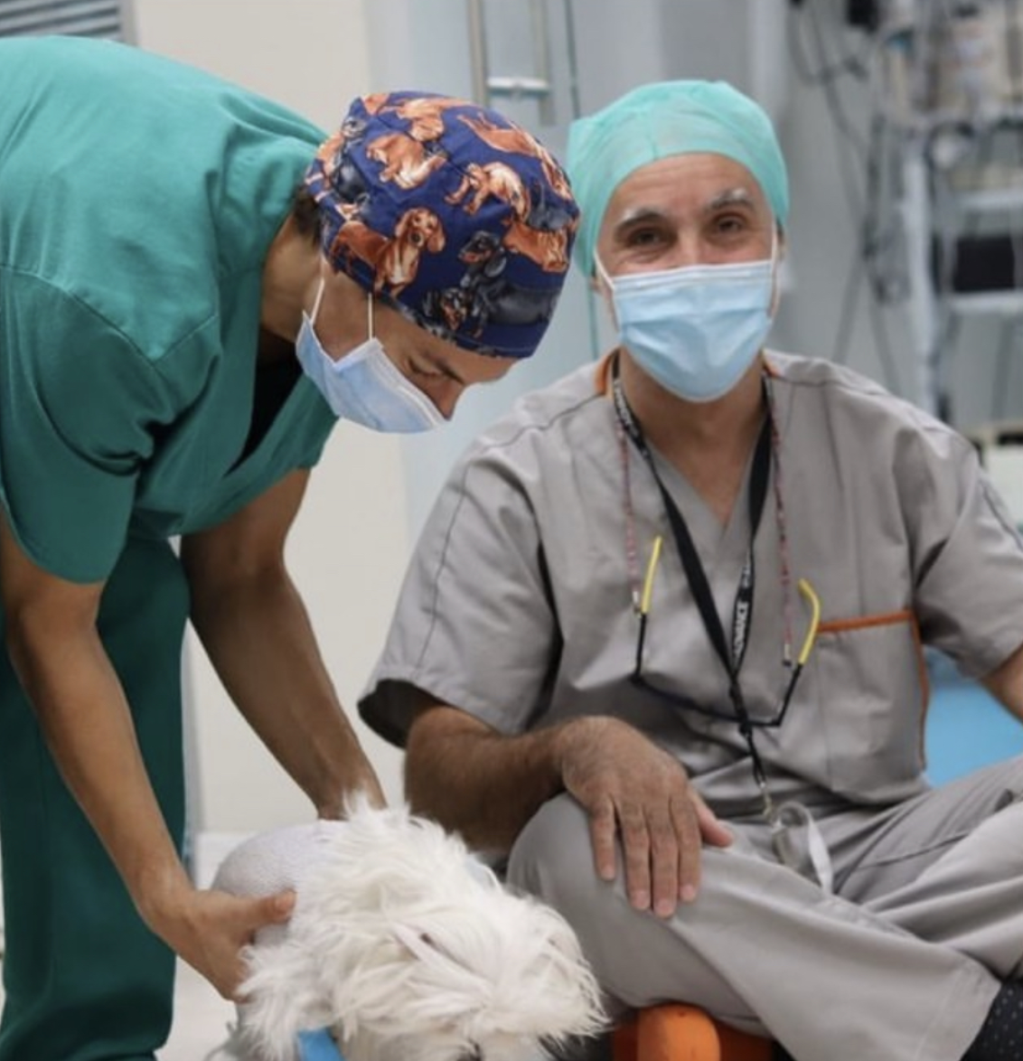 Equipo humano de la clínica veterinaria en quirófano